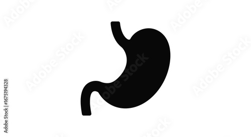 Human stomach anatomy illustration in black color on white background