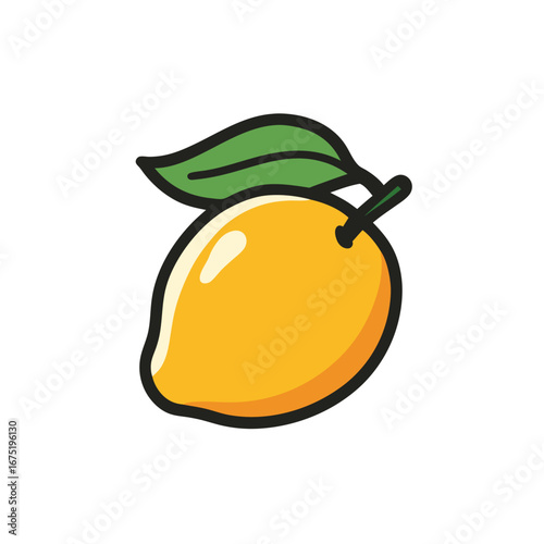vector illustration of an orange fruit