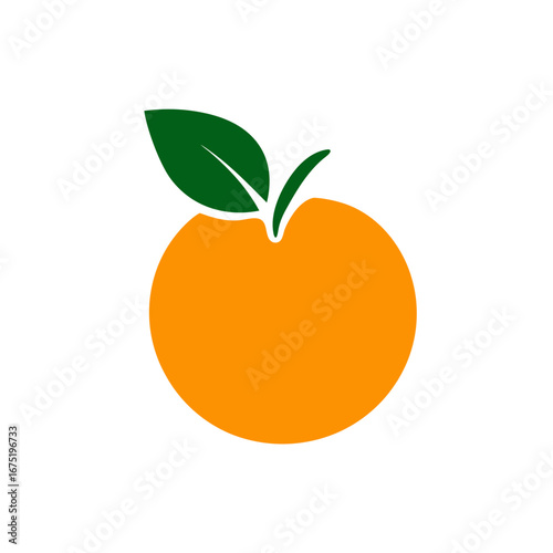orange fruit vector illustration