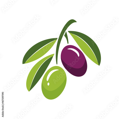 vector illustration of olives with leaves