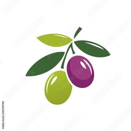 olive, branch, tree, food, fruit, leaf, oil, green, vector, 