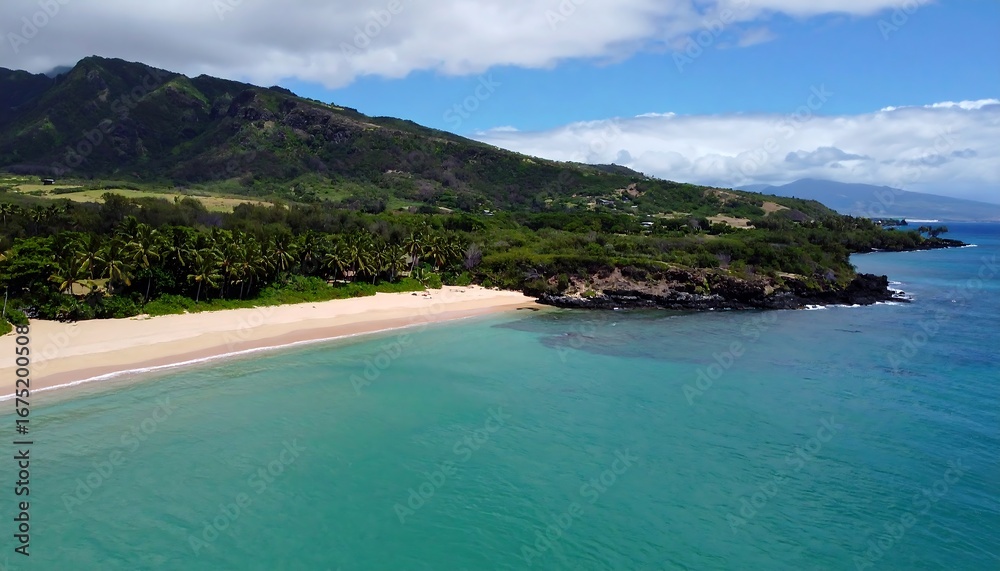 Fototapeta premium Tropical beach paradise (8)