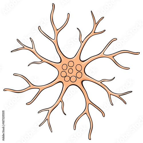 Stylized Neuron Cell with Dendrites and Cell Body Representing Brain Function, Biological Illustration
