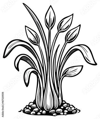 Stylized black and white plant illustration with leaves and buds growing from pebbles