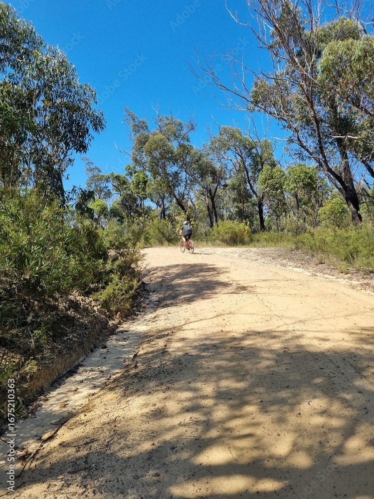 Fototapeta premium Male Cyclist Riding on Kedumba Valley Gravel Road, Blue Mountains on a Sunny Day