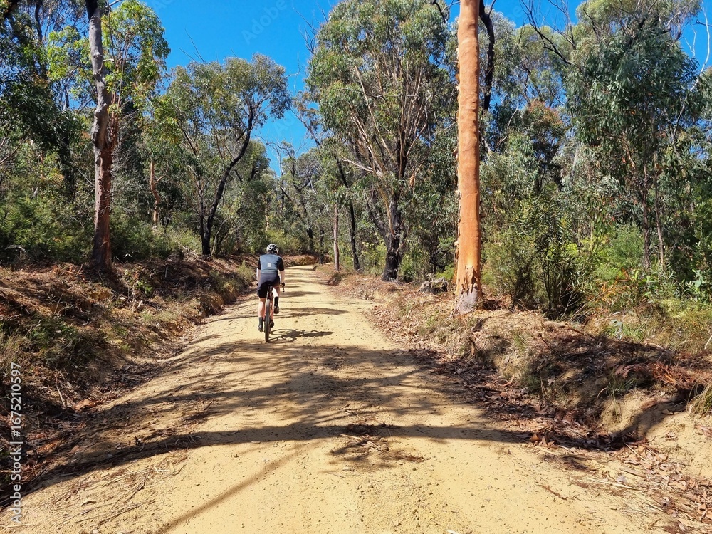 Obraz premium Male Cyclist Riding on Kedumba Valley Gravel Road, Blue Mountains on a Sunny Day