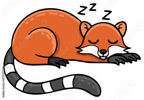 Cute Cartoon Raccoon Sleeping Peacefully with Zzz Symbols Above Head