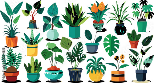 Potted Houseplants Illustration