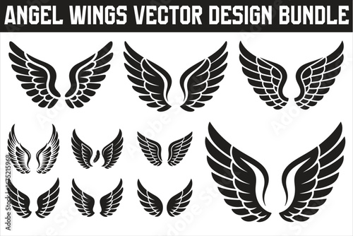 symmetrical angel wings gracefully spread against a pure white background