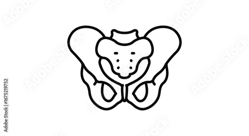 A line drawing of a human pelvis and sacrum