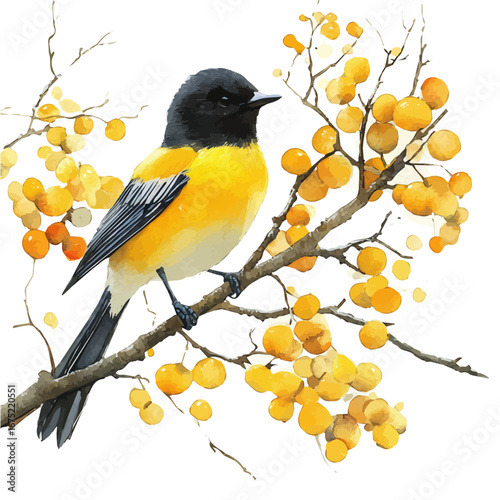 Spring Wildlife, watercolor clipart vector, isolated on a white background.