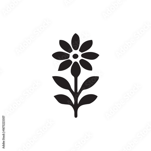 vector floral ornament motive 
