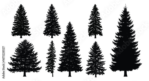 Collection of various pine tree silhouettes on a white background