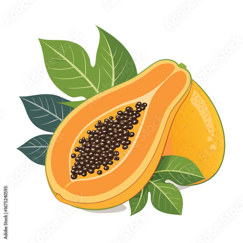 Vector art of vibrant illustration of a halved papaya with surrounding leaves, showcasing its juicy texture and tropical appeal in a clean and inviting composition