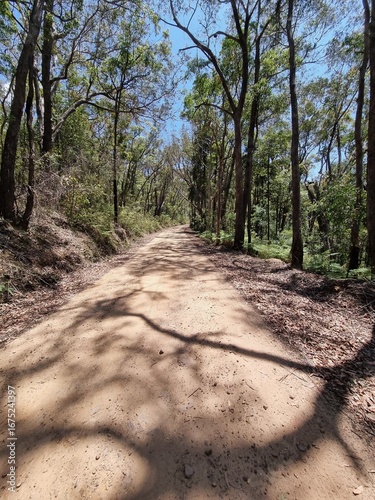 Gravel Road Through Bushland on Kings Tableland Road in the Blue Mountains