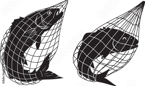 Two fish caught in fishing nets silhouette