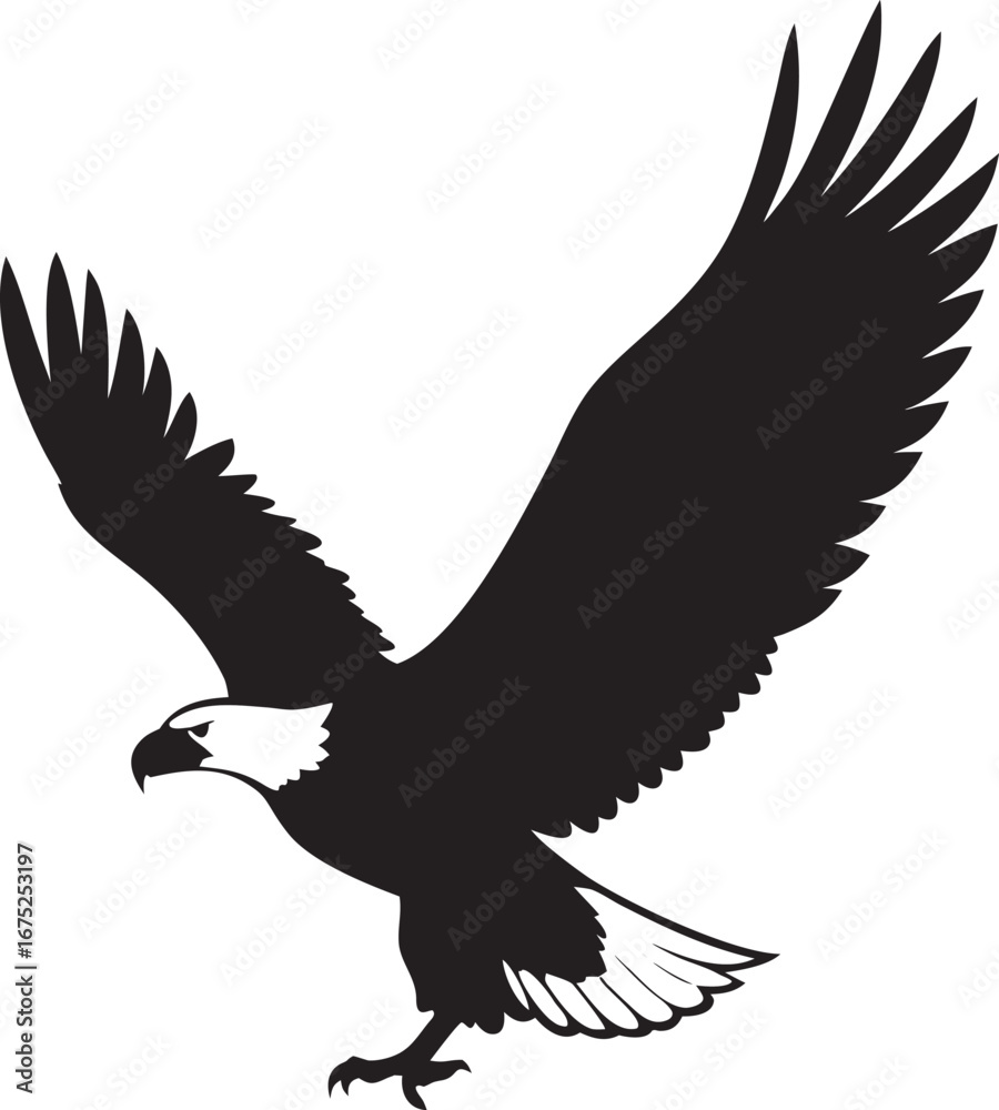 Obraz premium eagle on white background