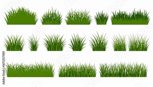 set of green grass