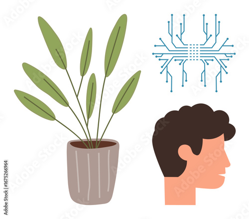 Human head profile next to a green potted plant and a digital circuit board. Ideal for sustainability, innovation, technology, eco-friendliness, balance, progress, bioengineering. Simple flat