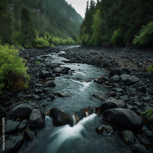 mountain river in the forest