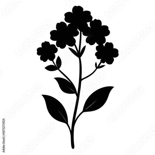 silhouette  verbena vector