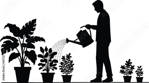 Silhouette of man watering potted plants, indoor gardening care, houseplant maintenance, plant watering routine, healthy plant growth, home gardening activity, green lifestyle.