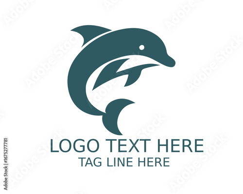 Dolphin Logo Design