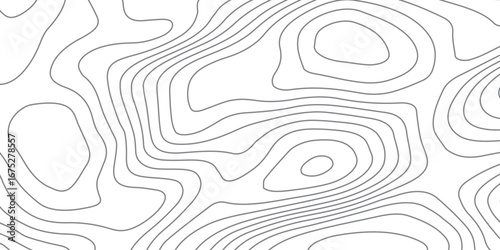 Abstract luxury topographic contour lines in black on white background, wavy map pattern with grid design, modern geography vector illustration