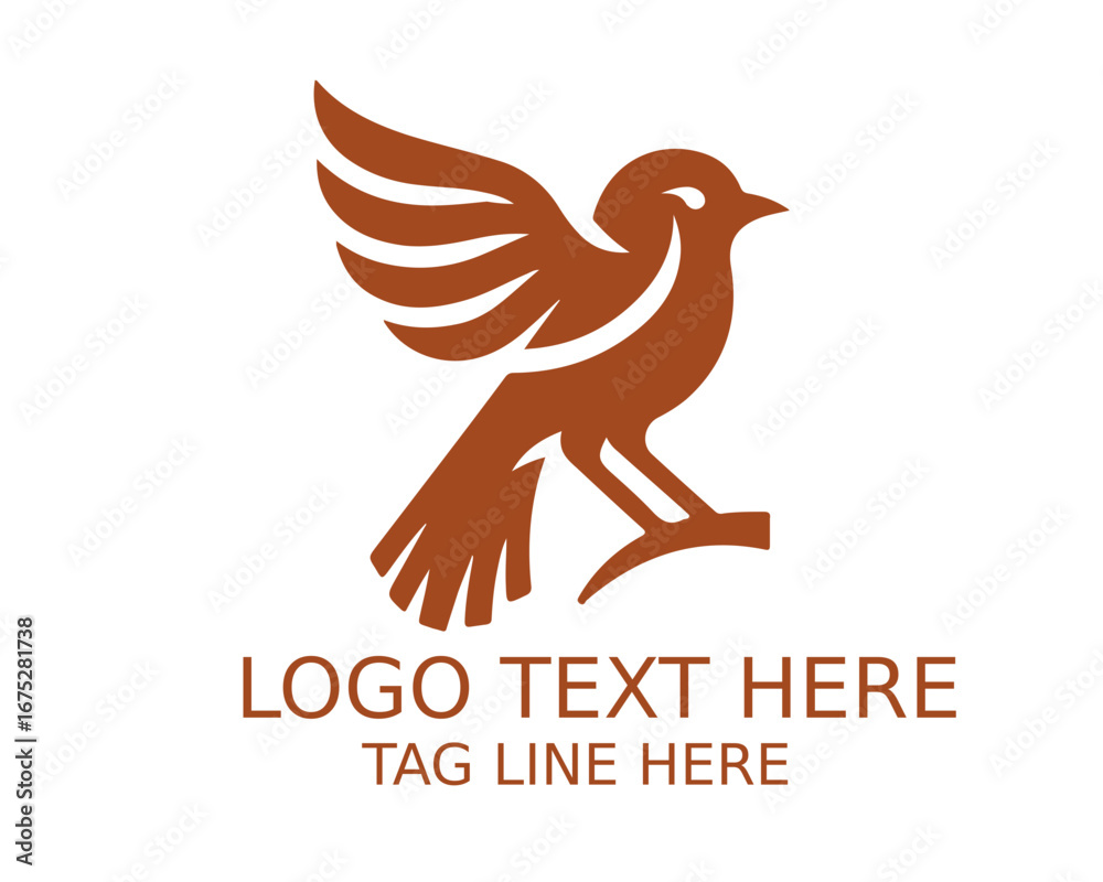 Fototapeta premium Bird Logo Design