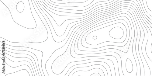 "Black and White Vector Topographic Map with Contours, Showing Elevation and Terrain Features on a Clean Background"