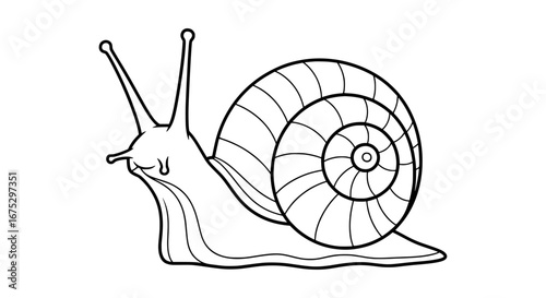 Snail with transparent background