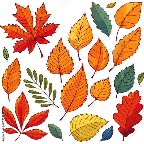Set of autumn leaves vector illustration. Multicolored branches clipart for design.