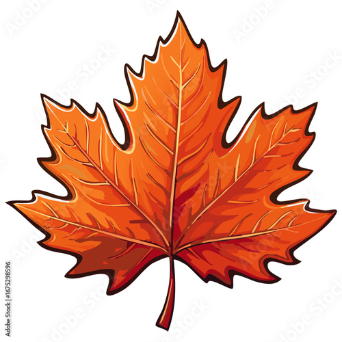 Orange autumn maple leaf with leaves on white background vector illustration on isolated background	