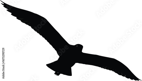 Silhouette of a bird of prey in flight against a vector