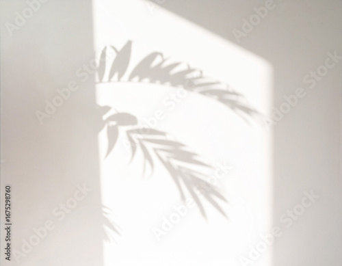 Shadow overlay of palm leaves and window frame cast on wall