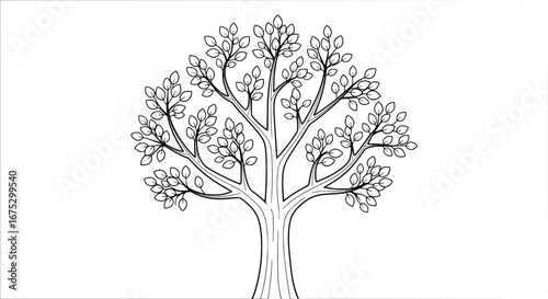 Tree with transparent background