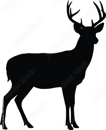 Majestic stag silhouette elegant wildlife art nature icon graphic design vector