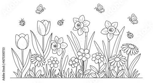 Floral pattern of daffodils and tulips with transparent background