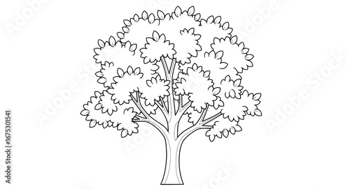 Tree with transparent background