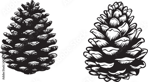 Pine cone vector, simple line art drawing, white background, vector illustration, woodcut style, logo, clipart, icon, logo design, simple, minimalistic, flat color.eps