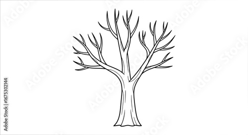 Bare tree branch with transparent background