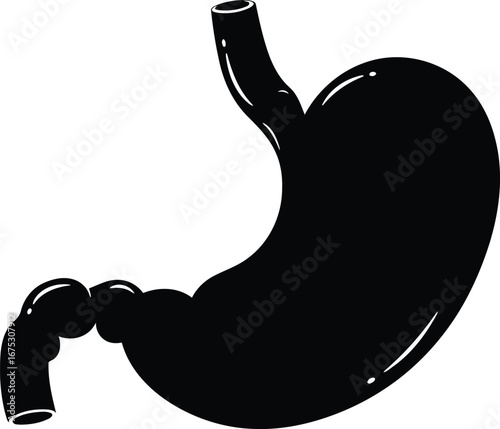 Anatomical human stomach medical health care digestive system organ biology vector