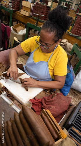 Photography Female cigar maker carefully rolling a habano cigar using dried tobacco leaves i
