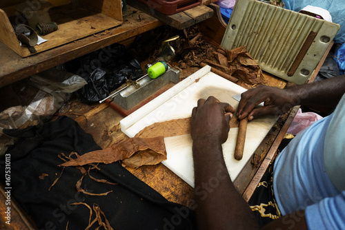 Canvas Print Skilled cigar maker rolling habano using traditional tools, working with dried t