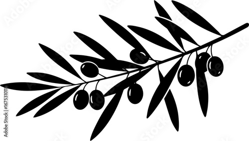 vector silhouette of an olive tree branch.eps
