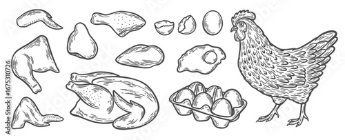 Set with chicken, chicken meat and eggs