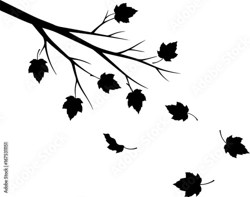 Vector silhouette of an autumn tree branch with falling leaves.eps