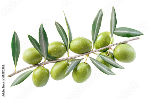Wallpaper Mural Ripe green olives gathered on a branch surrounded by vibrant leaves showcasing freshness in a natural setting Torontodigital.ca