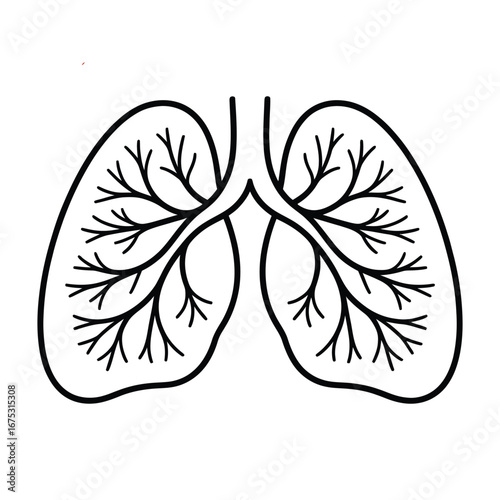Human Lungs Medical Illustration with Veins and Arteries