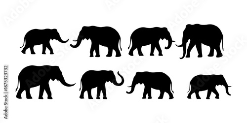 elephant silhouette illustration collection